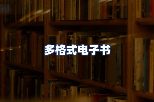 多格式电子书